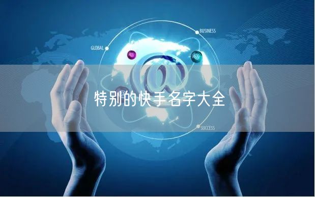 特别的快手名字大全