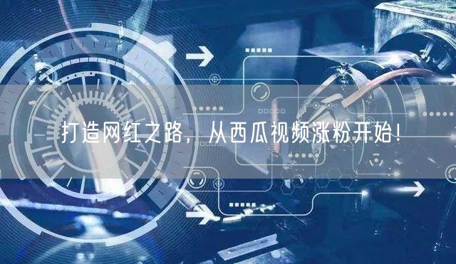 打造网红之路，从西瓜视频涨粉开始！