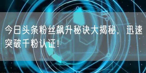 今日头条粉丝飙升秘诀大揭秘,迅速突破千粉认证!