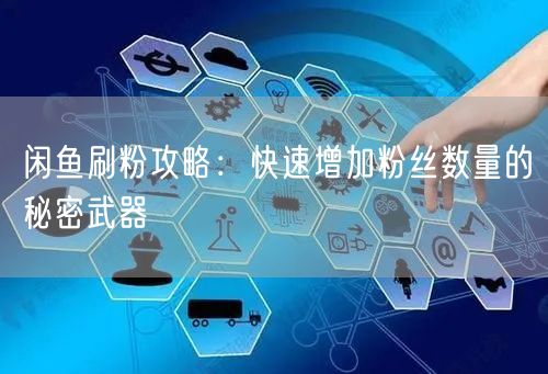 闲鱼刷粉攻略：快速增加粉丝数量的秘密武器