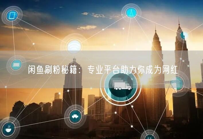闲鱼刷粉秘籍：专业平台助力你成为网红