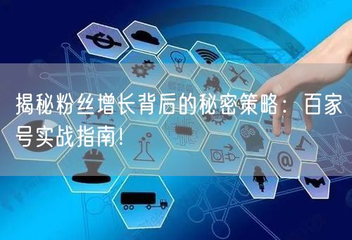 揭秘粉丝增长背后的秘密策略：百家号实战指南！