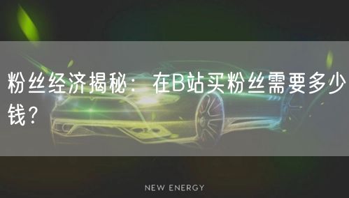 粉丝经济揭秘:在B站买粉丝需要多少钱?