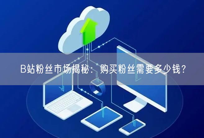 B站粉丝市场揭秘:购买粉丝需要多少钱?