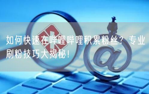 如何快速在哔哩哔哩积累粉丝？专业刷粉技巧大揭秘！
