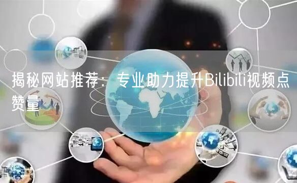 揭秘网站推荐：专业助力提升Bilibili视频点赞量
